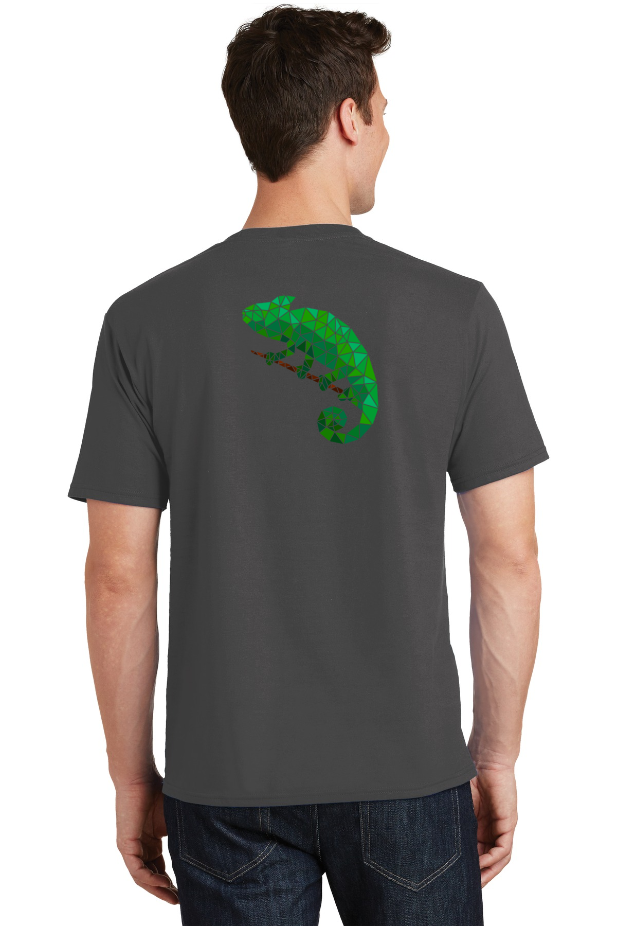 Chameleon T-Shirt