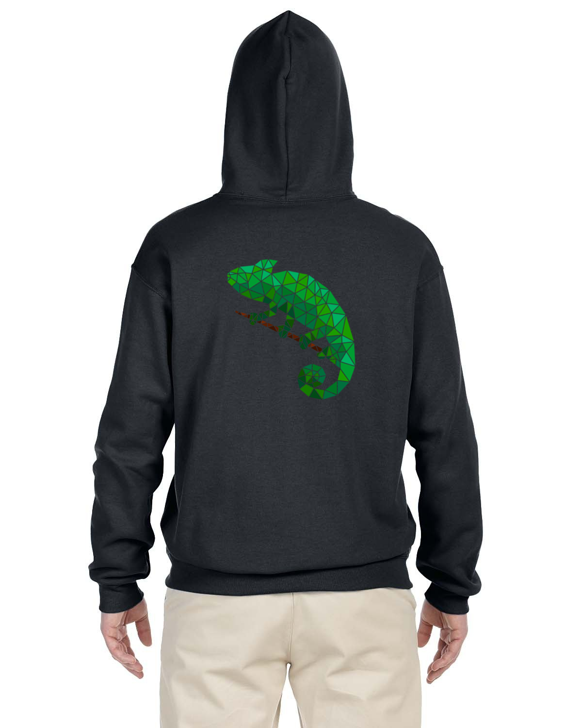 Chameleon Hoodie