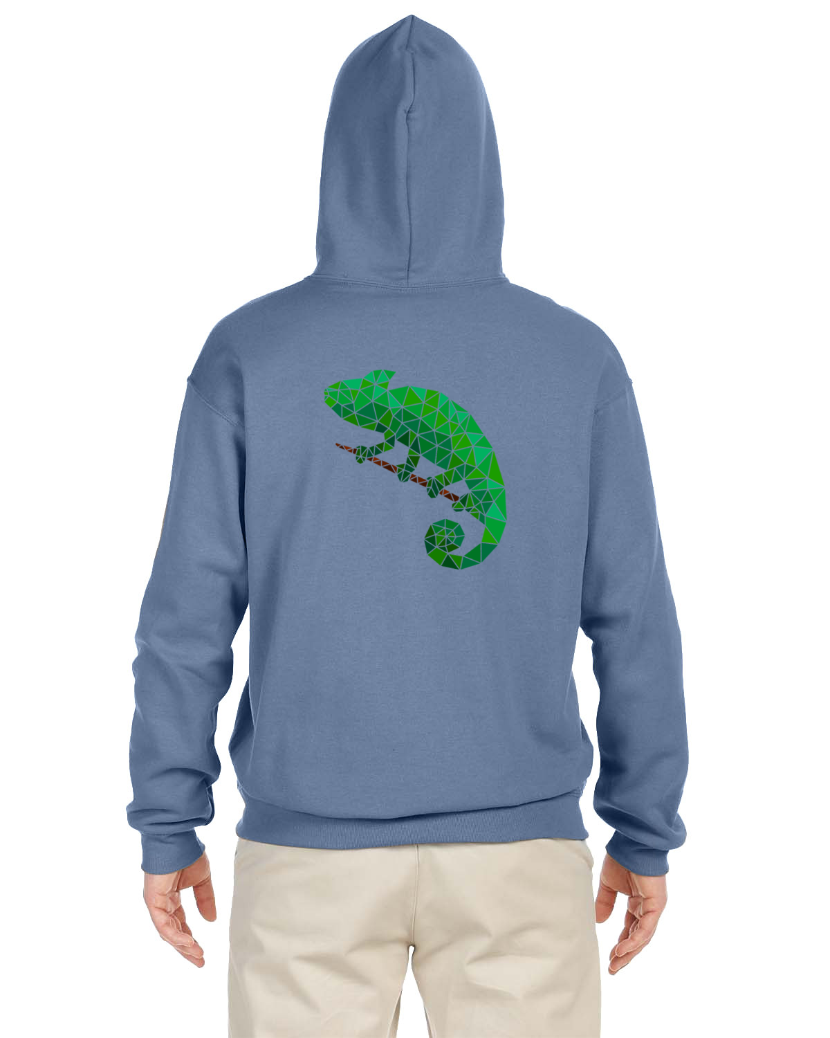 Chameleon Hoodie