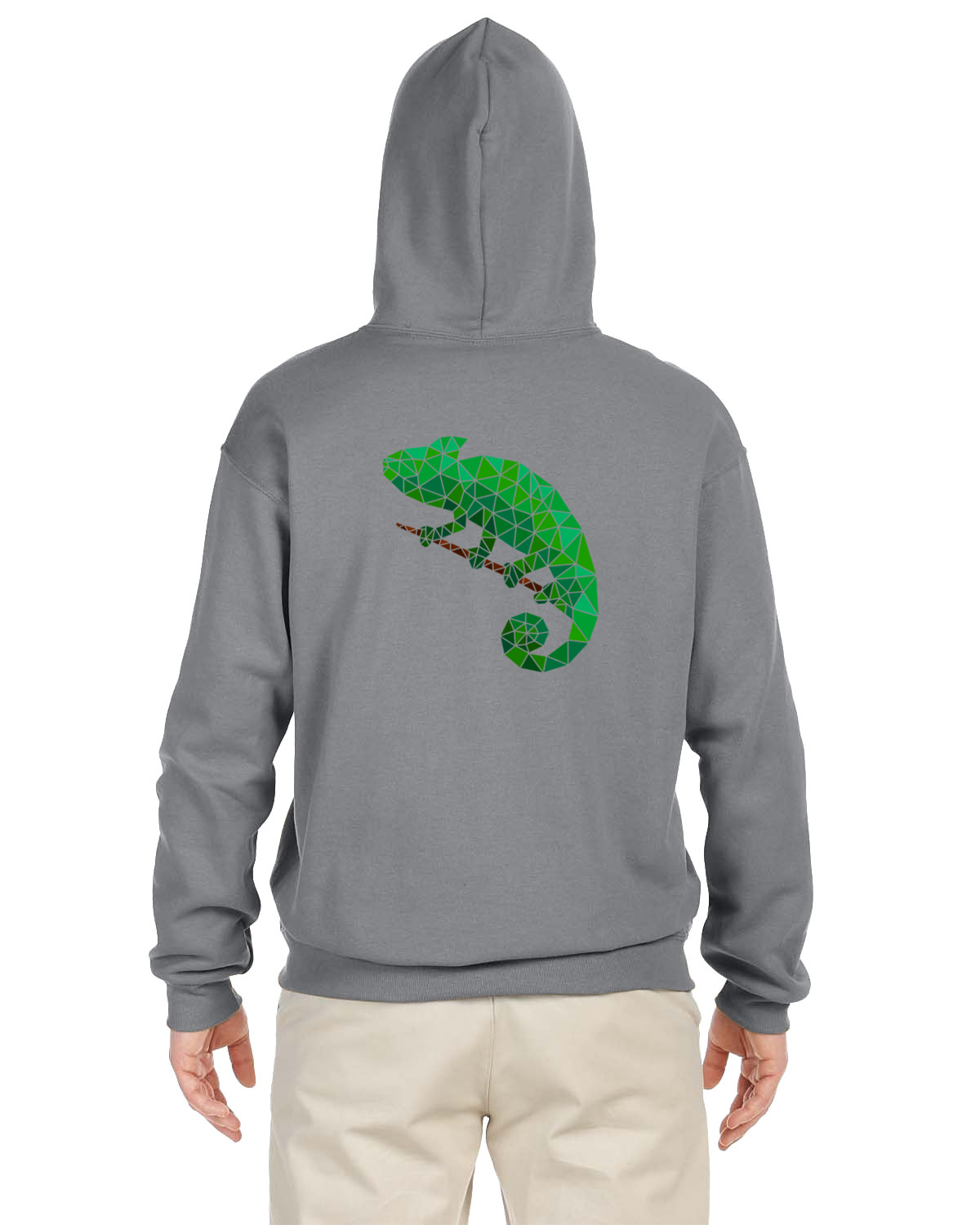 Chameleon Hoodie