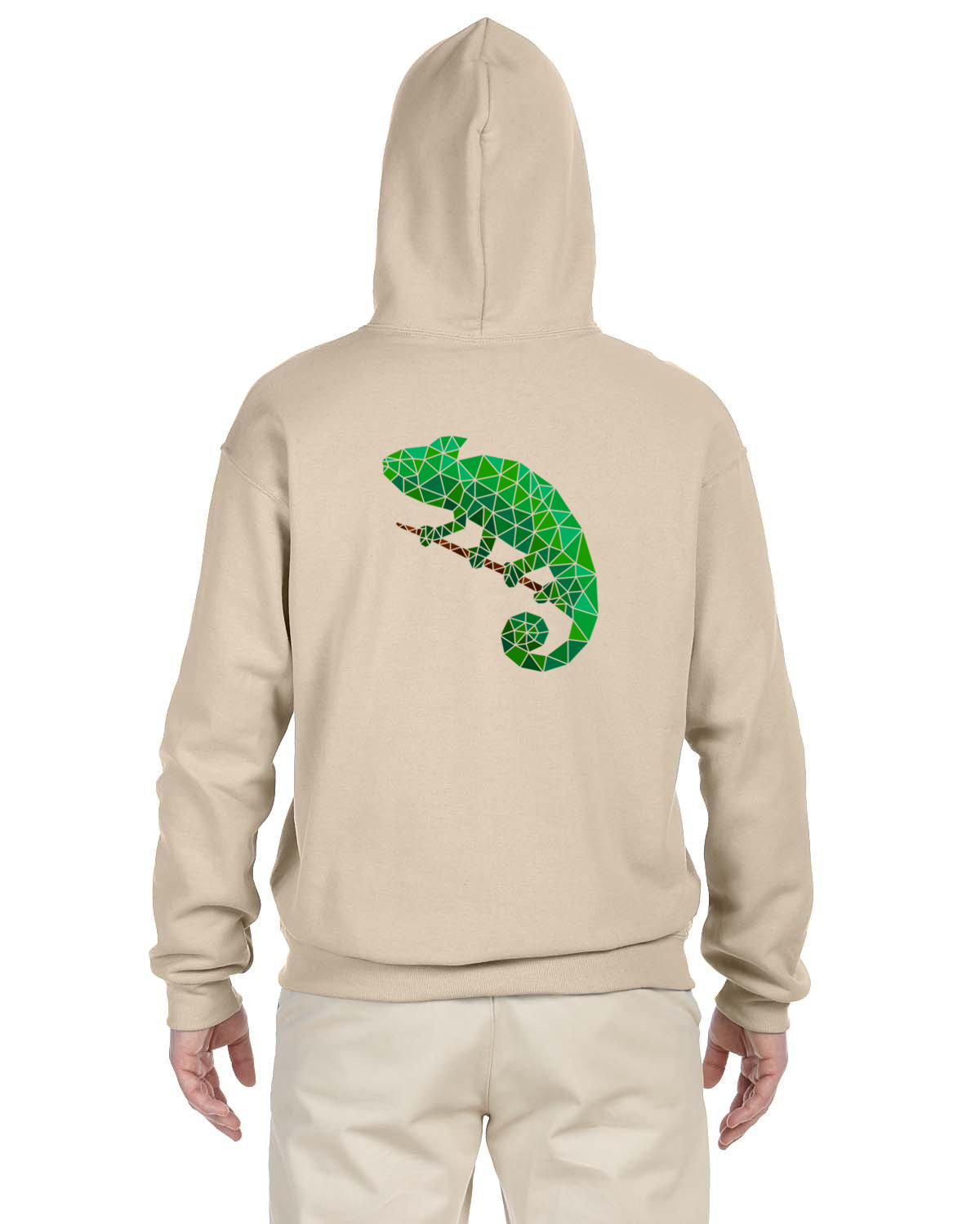 Chameleon Hoodie