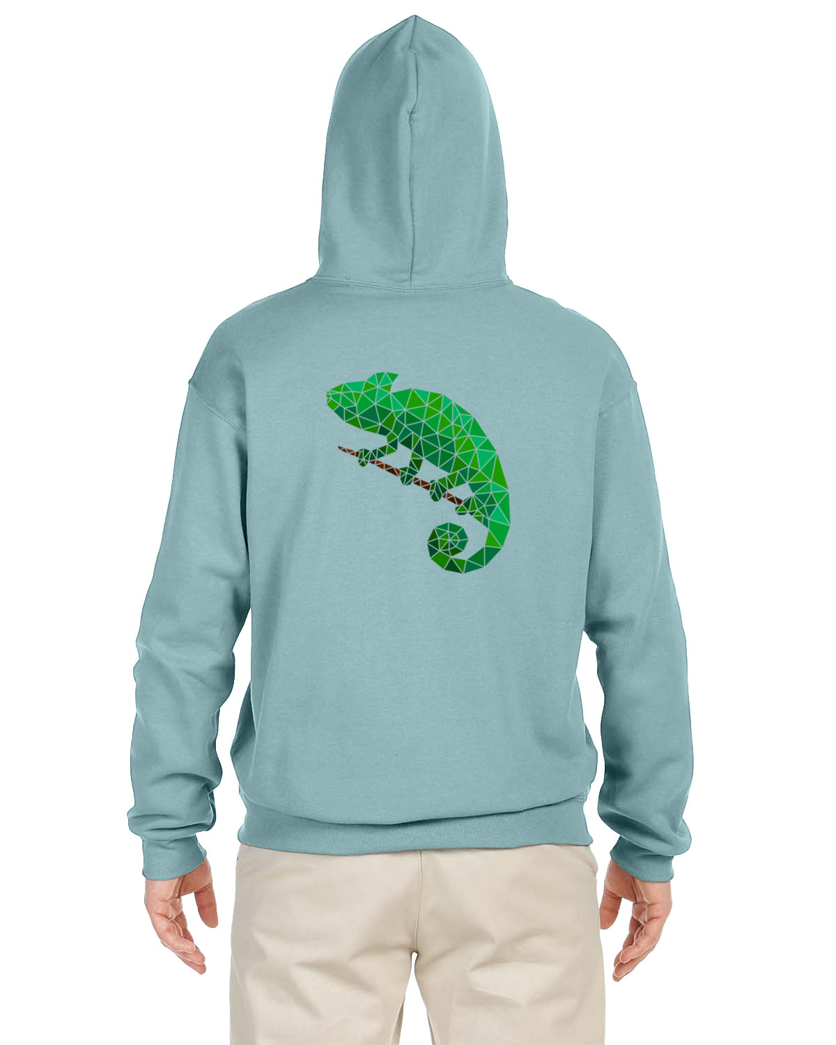 Chameleon Hoodie